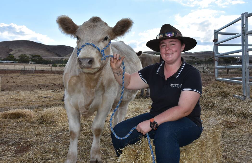 Chelsea Harrop, Sanderston, with her heifer Sunshine Strawberry Kisses is excited about participating in her seventh Expo