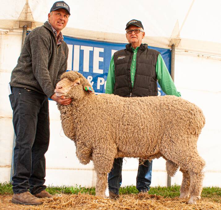 White River stud's Wes Daniell holds the $19,000 ram with Peter McEvoy, Nutrien Streaky Bay. The ram sold to NJ&EE Macartney, Coreen, NSW.