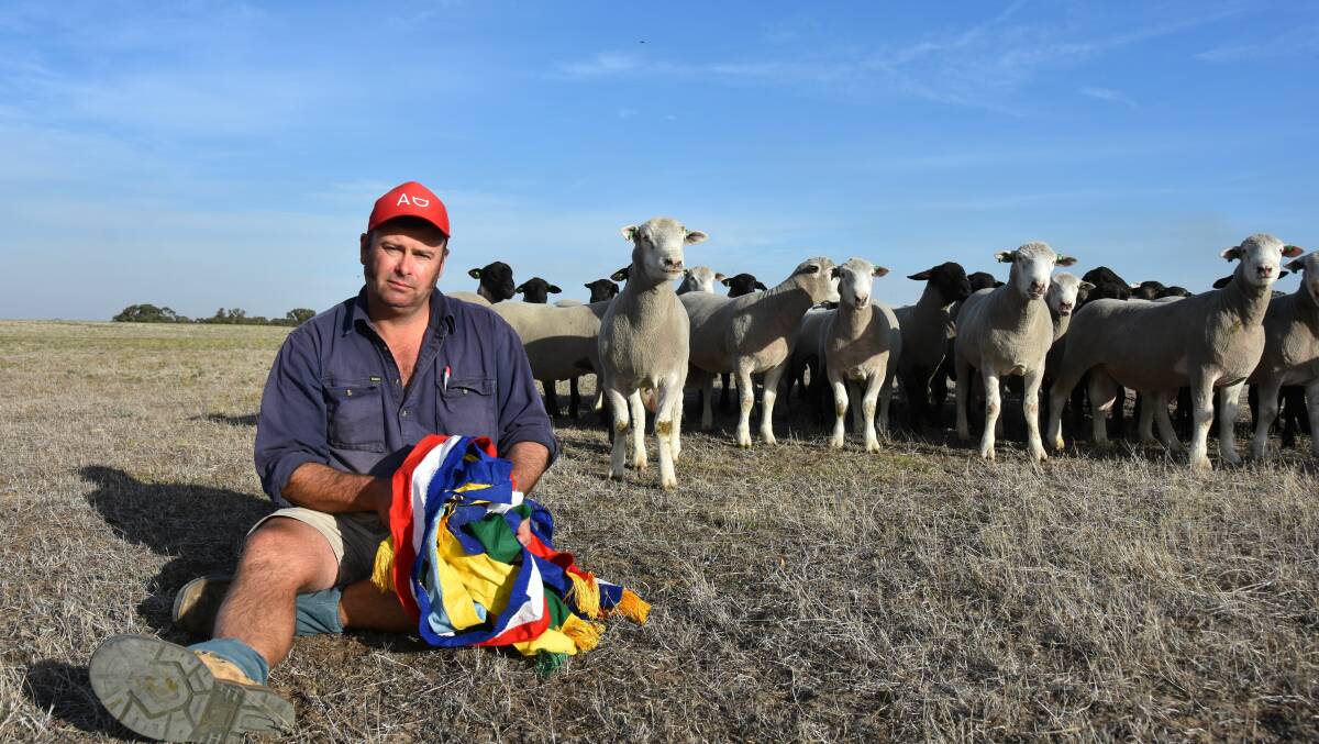 SAD DAY: Alastair Day, Allendale, Bordertown, with rams he had picked out for the 2020 Royal Adelaide Show.