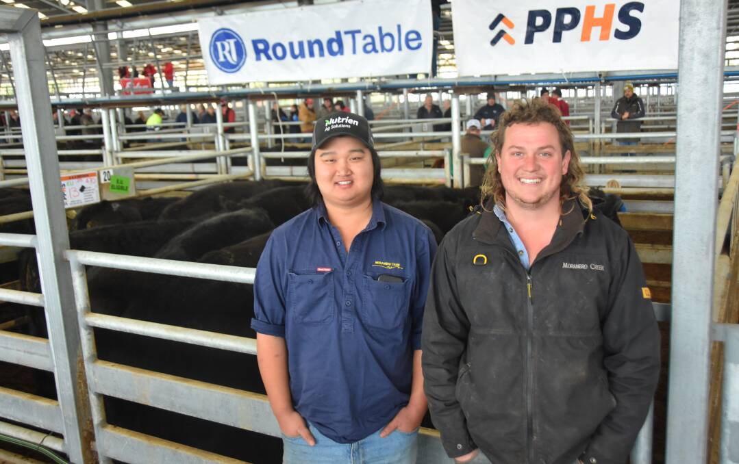 Angus Bryson and Seth Shalders, Morambro, Padthaway with their top price Angus steers which made $1740. The 470kg steers were February/March 2022 drop. Picture by Catherine Miller