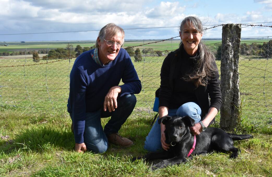 NEW IDEA: Neighbours Colin Earl and Joanne Griffiths, both of Struan, hope labrador pup Leroy will be able to detect any suspect sheep with footrot.