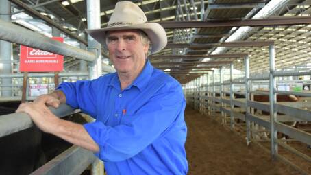 FINAL SALE: Naracoorte Regional Livestock Exchange livestock caretaker Peter Sinclair has retired after 46 years working in the yards and feeding livestock in the holding paddocks.