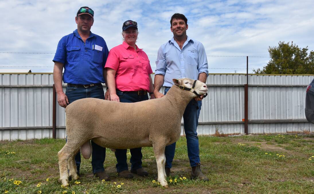 REPEAT INTEREST: Glenn and Kylie Davis, Sutherland Hills stud, Dergholm, Vic, with Brad Davies holding lot 1 in Wrattenbullie's sale, which sold for the $3600 sale high.