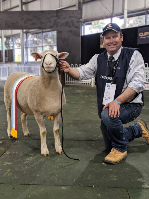QUALITY EWE: Alastair Day, Allendale stud, Bordertown, with his supreme interbreed ewe from the Royal Melbourne Show on the weekend.