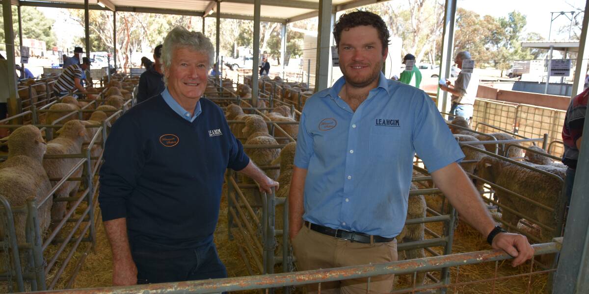 RIPPER RESULT: Andrew and Alistair Michael, Leahcim stud, notched up a full clearance of 250 Poll Merino rams to $26,000, av $2688, at their on-property sale in Snowtown on Tuesday.