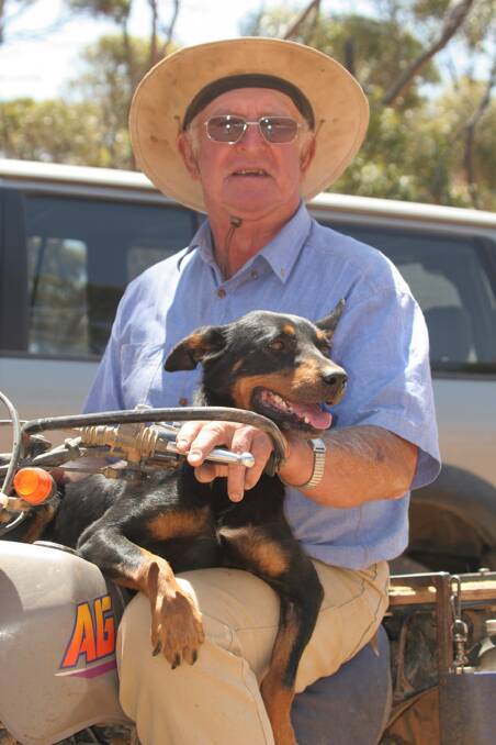 David Kellock with his beloved dog Mack. He bred many great kelpies and has been awarded posthumously the SA Yard Dog Association Breeder of the Year for 2019-2020.