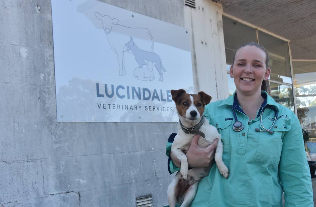 Hayley Smith (pictured with Winnie the Jack Russell terrier) has established the first vet practice at Lucindale in decades. Picture by Catherine Miller
