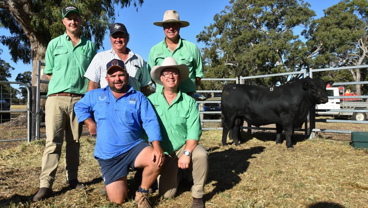Nutrien Naracoorte's Nick Heffernan, Sterita Park's Nanni DiGiorgio, Nutrien studstock's Richard Miller and at front buyer of the $30,000 sale topper, Heath Tiller, Goolagong stud and Nutrien studstock manager Gordon Wood. Picture by Catherine Miller