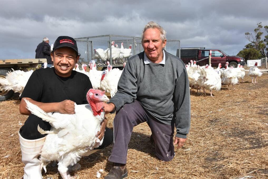 WILLING PARTICIPANT: Shamsul Azrin Abdullah has been working for John Watson, Pooginagoric Free Range Turkeys, Pooginagoric, for the past year.