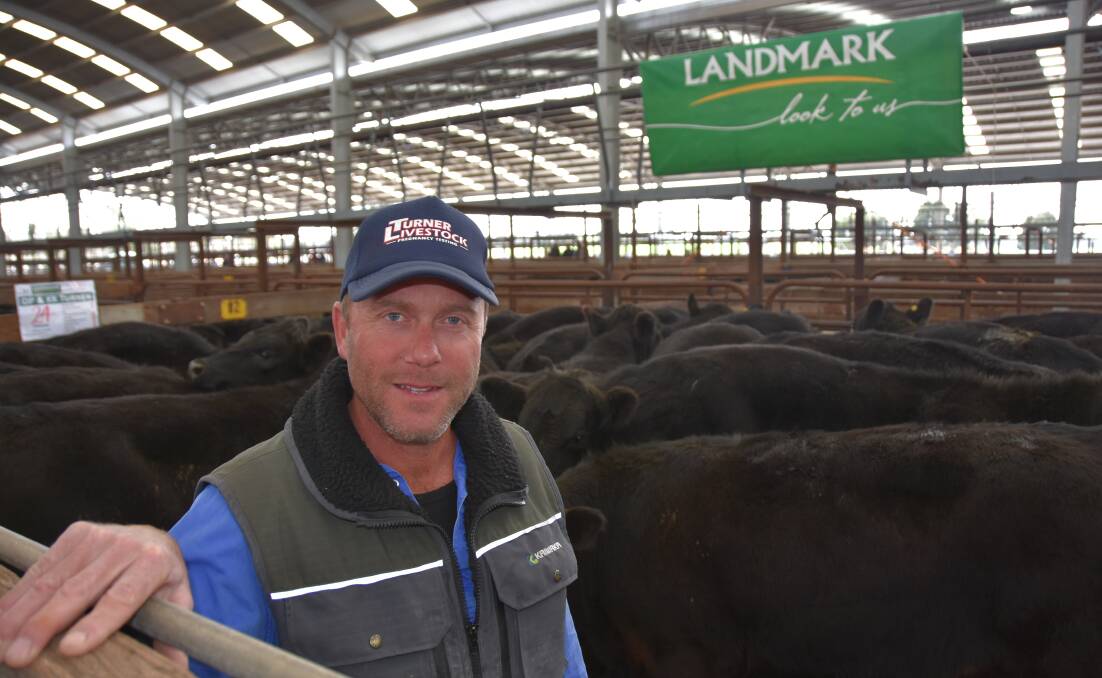 FEEDER FORTUNE: Dave Turner, Stewart Range, sold 24 March/April 2018-drop, Sterita Park-blood Angus steers at $3.56/kg or $1440.