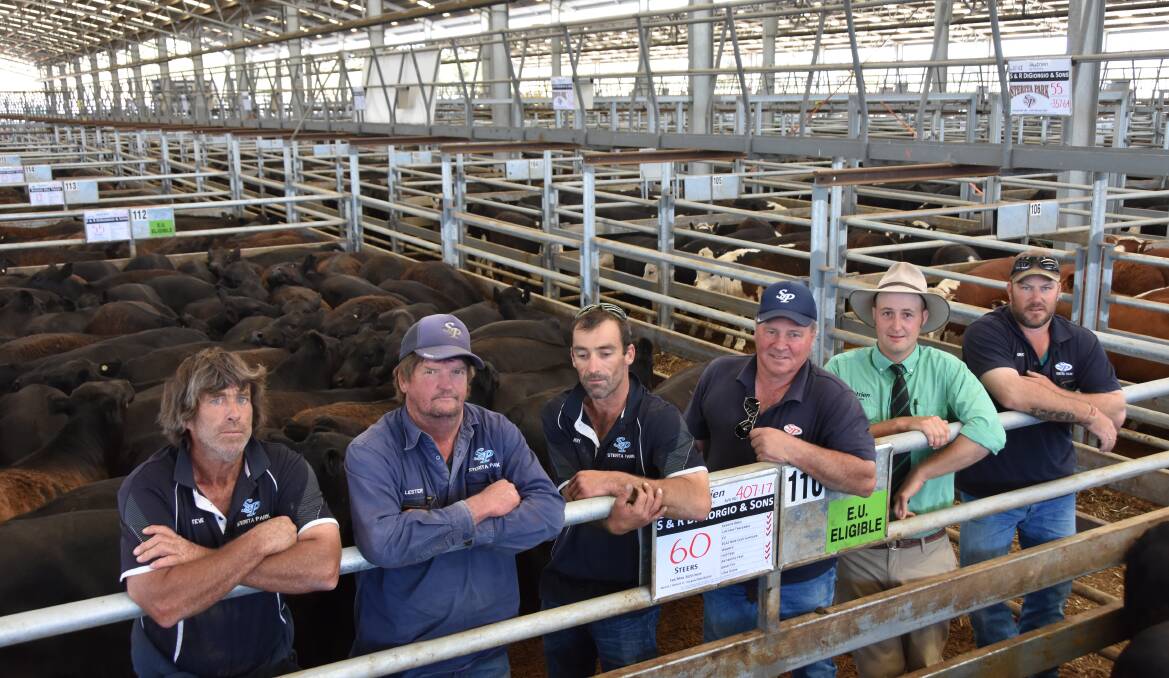 The DiGiorgio team Stephen Kelly, Lester Lamont, Rory Townsend, Nanni DiGiorgio and Grant Thompson (with Nutrien Naracoorte's Nick Heffernan second from right) sold 600 steers to a $1837 top and averaged $1638.