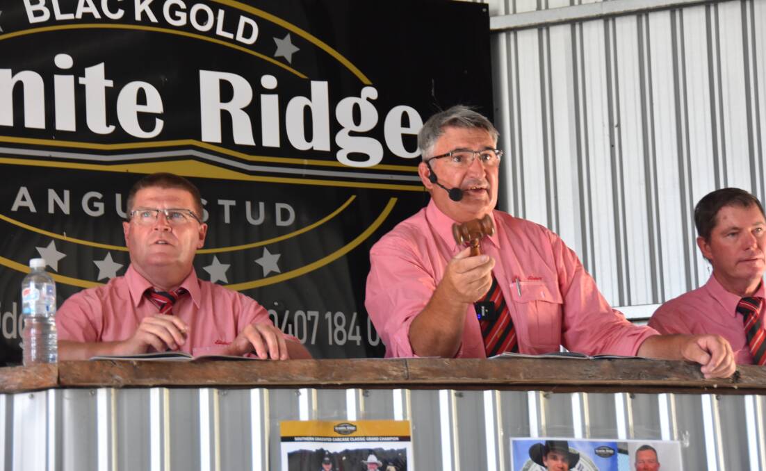 The Elders team on the rostrum- stud stock manager Tony Wetherall, auctioneer Laryn Gogel and Kingston branch manager Greg Cobiac