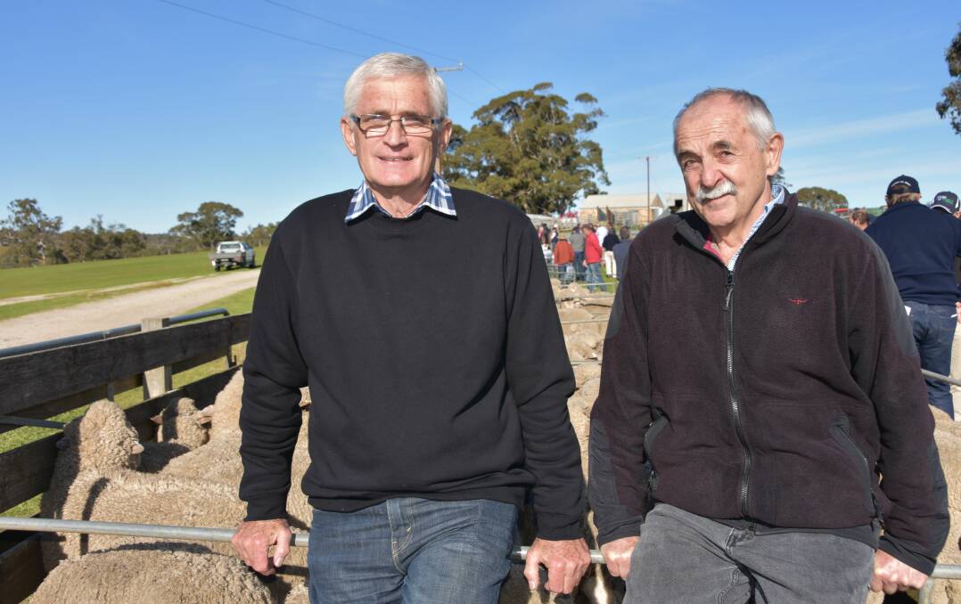 PROBLEM SOLVING: Researchers Simon Walker and Dave Kleemann are conducting sheep AI research project through SARDI to work out why the success rate of the technology has become so variable.