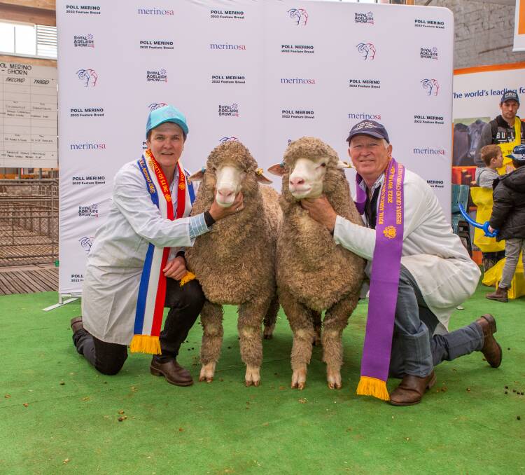 Tamaleuca stud's Danni Wilson and Kevin Crook with their grand champion and reserve grand champion March shorn Poll Merino ewes.