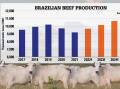 ON THE WAY: Much larger volumes of Brazilian beef are expected to the global market in the next few years as their production lifts, and domestic consumption decreases.