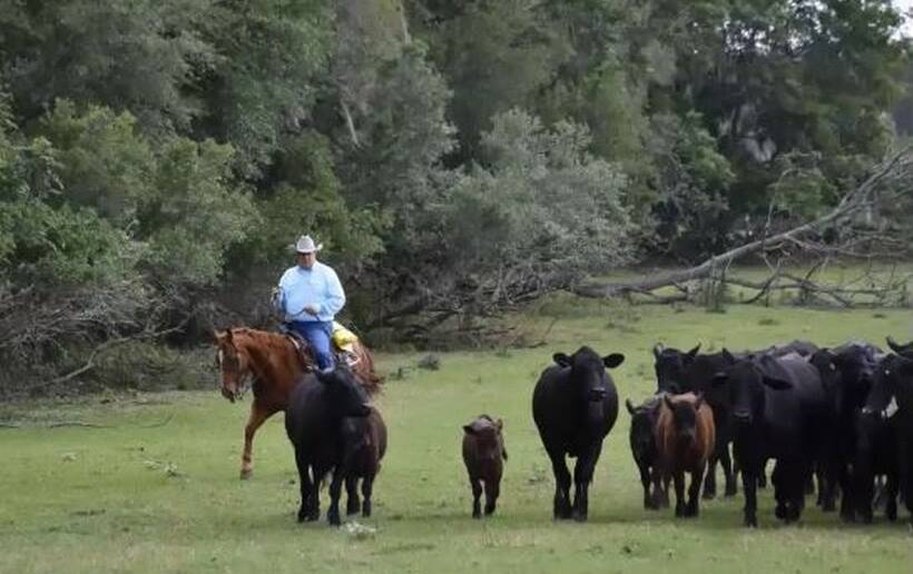 NCBA president Marty Smith on his ranch in Florida.