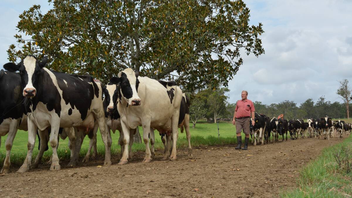 Opening southern milk prices under fire
