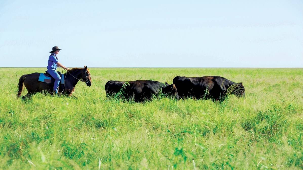 MOVING FORWARD: Australia's largest and oldest beef operation AACo looks after 6.4 million hectares of some of the most pristine and remote country. Sustainability is at the core of it's future plans. 