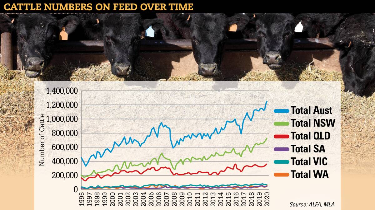 Alltime high for cattle on feed numbers but peak likely reached