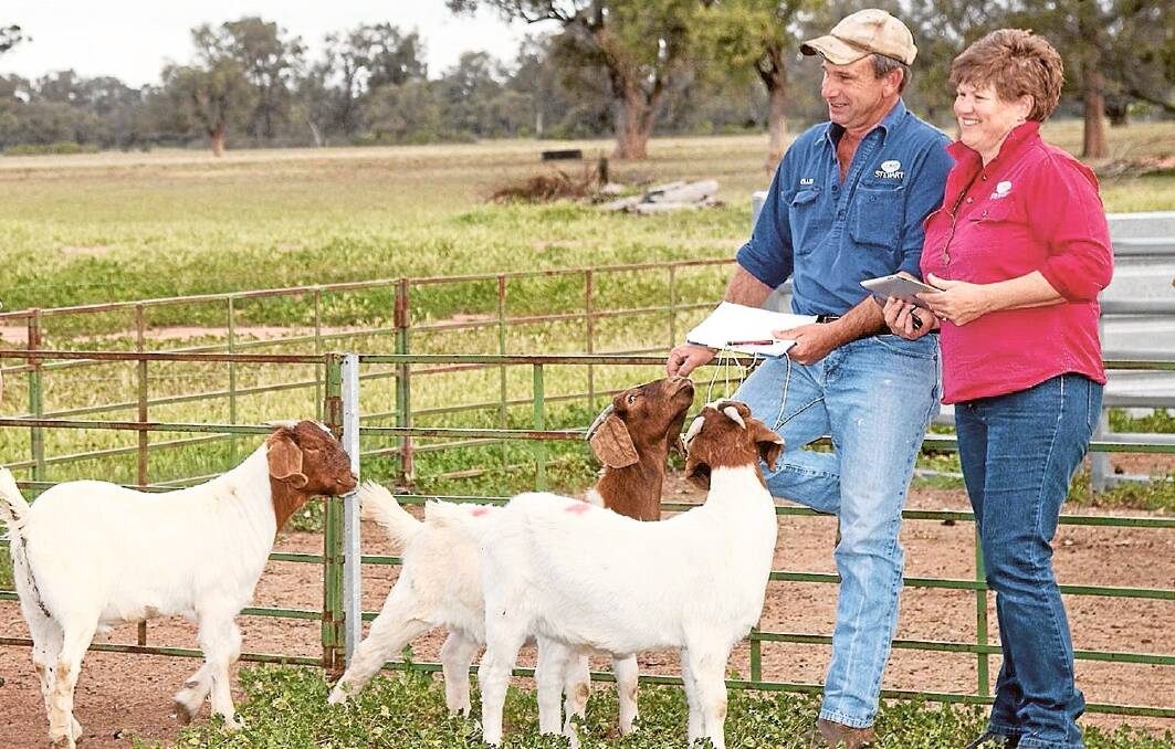 NOSE TO TAIL: Craig and Jo Stewart joke their 'mad scientist ideas' for using everything they produce from their goats may seem crazy but it's all about sustainability.