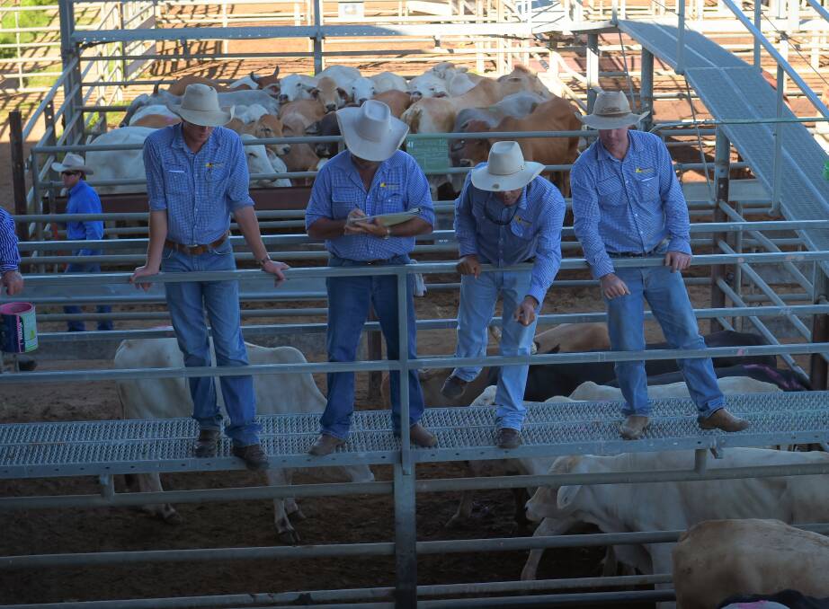 Is it time producers switched their focus past what this week's cattle market is delivering?