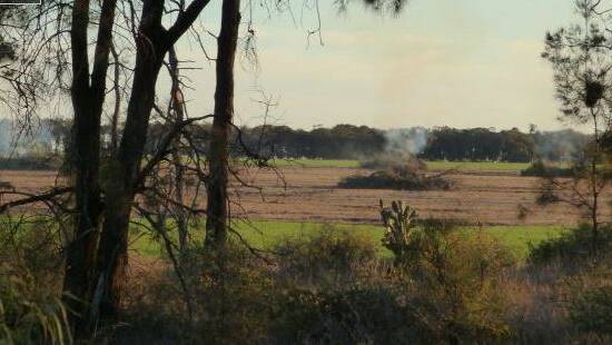  A photograph supplied several years ago by the NSW Office of Environment and Heritage of native vegetation being burnt off.