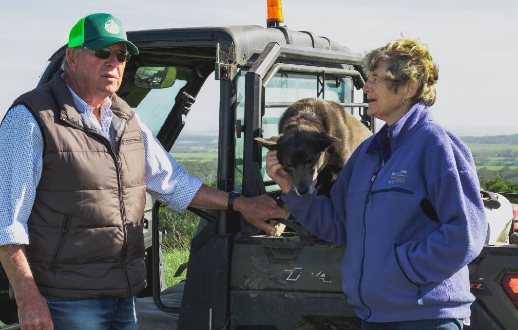 LONG-TERM THINKING: Victorian steer finishers Robert and Joan Liley were one of the earlier supplies to JBS's Great Southern brand and thrilled with the sustainability focus the program is taking.