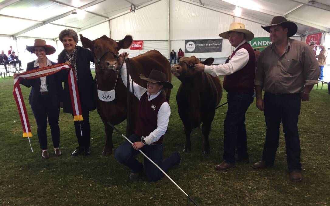 GK Red Ruba 21 and her calf Black Diamond Red Phenomenon were named Supreme Exhibit in the Angus ring. Holding the ribbon is judge Hannah Powe and Ann Hawker, Anama at Clare. The cow's owners Christie and Andrew Kennedy, and Greg Fuller, are with the cattle.