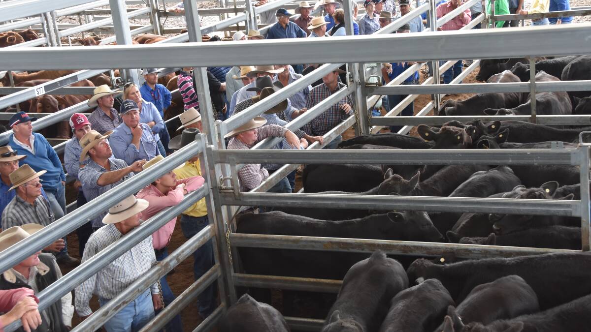 Weaner prices hold but a drop is looming
