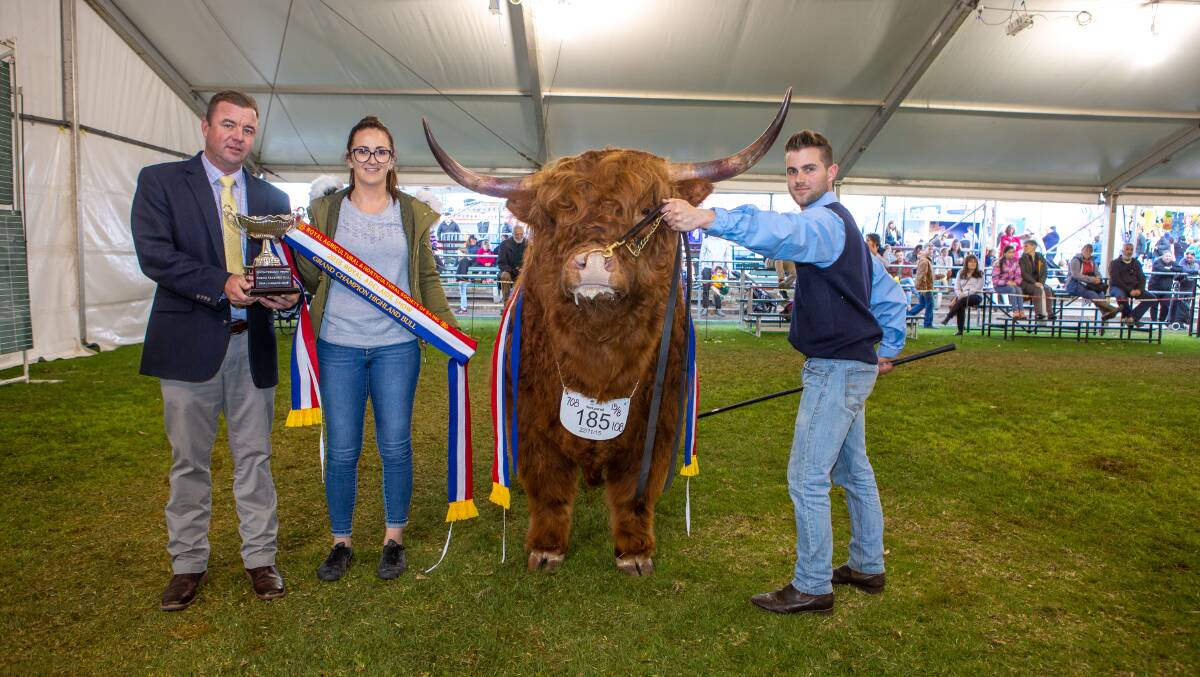 The grand champion Highland bull Caleb of Amrabull, led by owner Scott Carter, with judge Jonathon Spence holding the ribbon.
