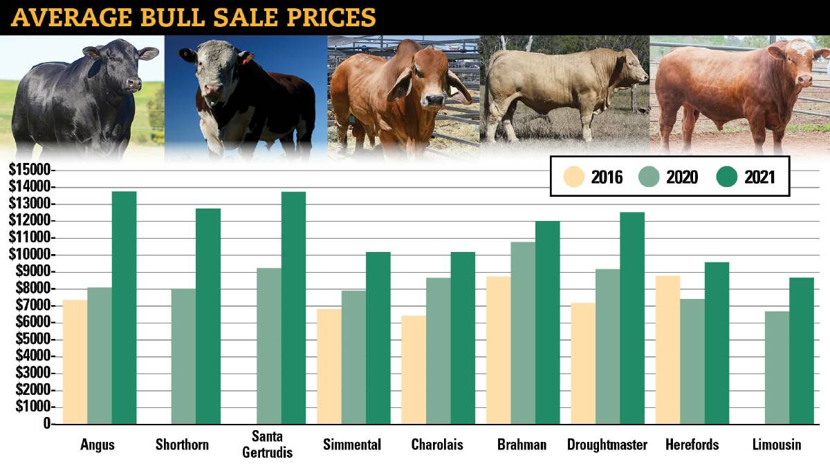 Bull sales in 2021 set a new benchmark