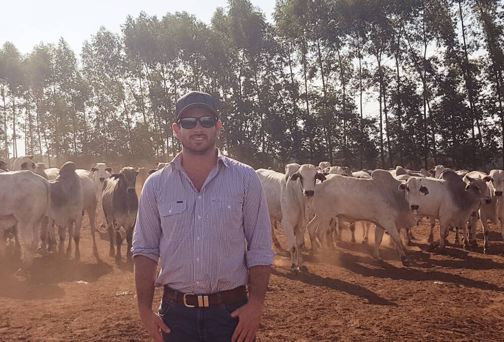 ON THE ROAD: Mr Green with cattle in Brazil.