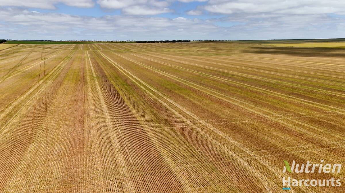 Cropping country for lease at Arthurton contains 701ha (1733 acres) of arable land which is a more affordable option than buying country which is routinely selling for above $10,000 per acre.
