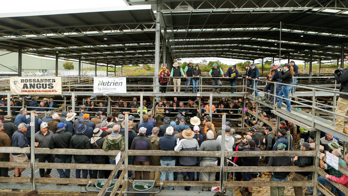 The location, a decline in numbers and the high cost of upgrades saw the closure of the Warrnambool saleyards at the end of 2022.
