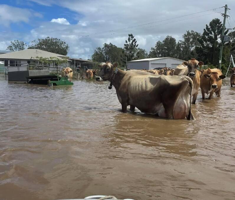 Many areas of Australia, particularly in the north and on the east coast were devastated by flooding, with the clean-up still continuing today.