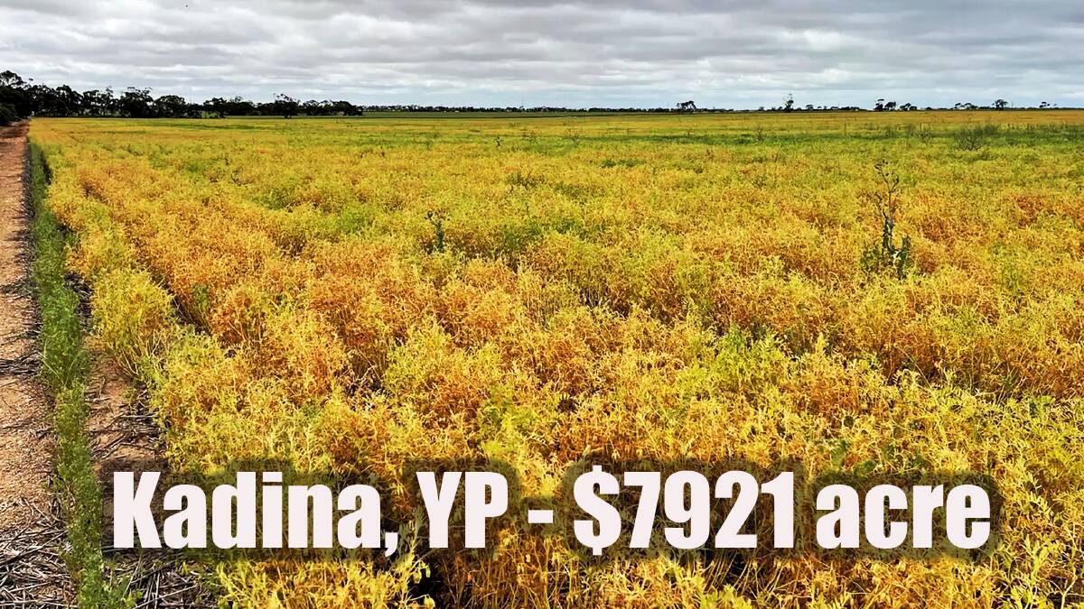 Single paddock sells for a mighty $1.6m on the YP