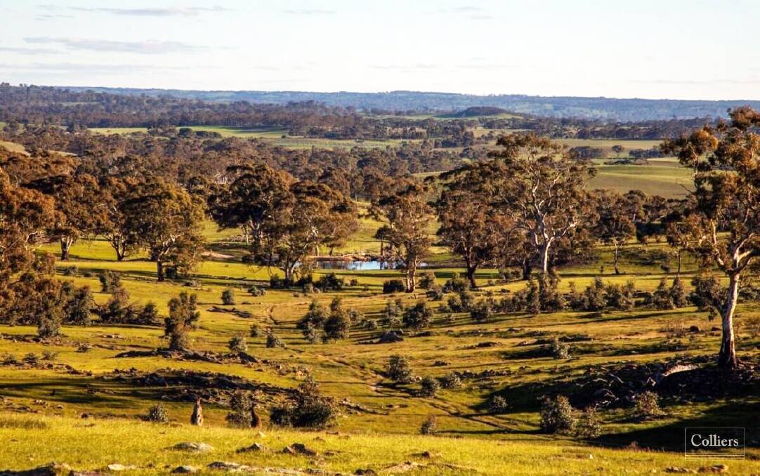 KEYNES LAND: The Keynes pioneering pastoral family has been farming on the edge of the Barossa for five generations. Pictures: Colliers.