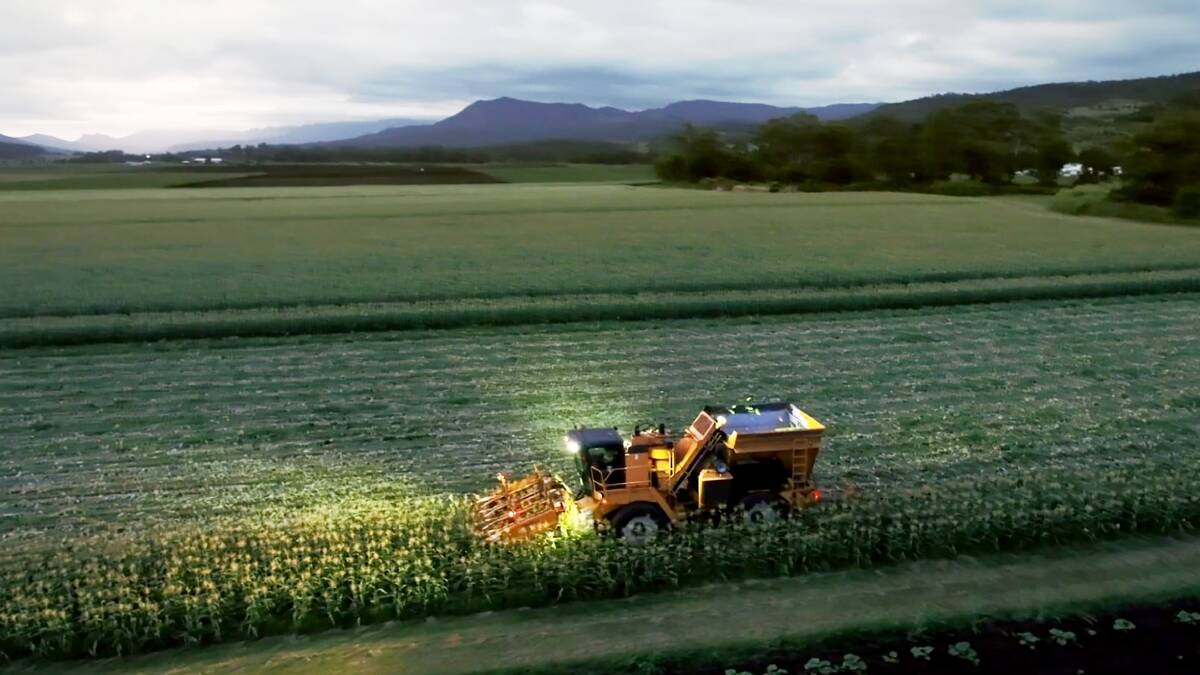 The award-winning Mulgowie Farming Company Portfolio represents a vertically integrated supply chain of predominantly corn and green bean production.