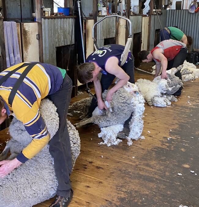 IN DEMAND: Shearers are in hot demand across Australia and a bidding war has broken out - some are offering well above award rates. At the same time, the AWU says it wants a lift in award rates.