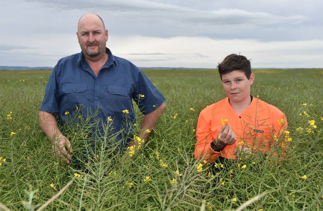 FRUSTRATION: David McHugh, with son Joe, 13, is frustrated the Alexandrina Council voted to take the choice to grow genetically-modified crops out of farmer hands.