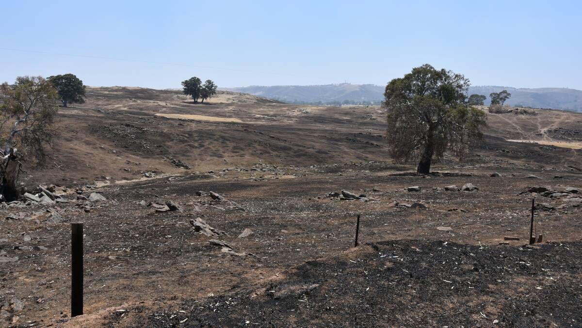 Bushfire Appeal funds made available