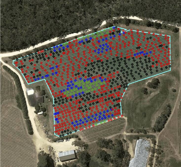 A GPS map showing canopy damage to individual vines on one of Charles Rosbacks Chardonnay blocks.
