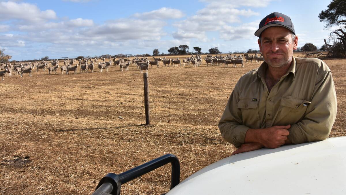 FLOCK CONFINED: Nick Clark plans to start containment feeding his adult flock at Parndana, after losing 90 per cent of his pastures in the Ravine fire.
