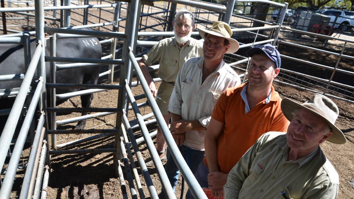 Kingarth stud principals Andrew and Patrick Taylor with one of the $3600 top price bull buyers Hugh and Michael Guthrie, Rocky Glen, Gumeracha. 