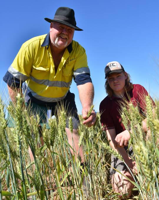 HEADS AHOY: Jeff and Boyd Hampel, Meribah, with their Scepter wheat entered in the Brown's Well crop competition on October 13. He hopes it will average 1.8t/ha after about 200mm of growing season rainfall.