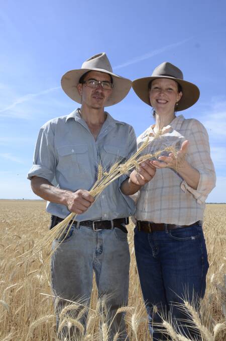 MALLEE READY: Taplan farmers Josh and Peri McIntosh, Border Park Organics, in their Yitpi crop, which they plan to start harvesting next week.