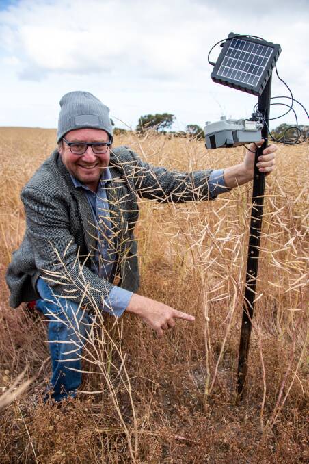 Dr Michael Nash in a canola crop on southern Yorke Peninsula with one of the time-lapse cameras used to track snail movement between native vegetation and crops.