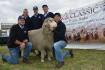 Strong finish to Classings Classic ram sale
