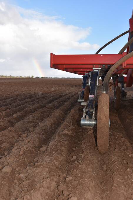 SA farmers more confident after May rains