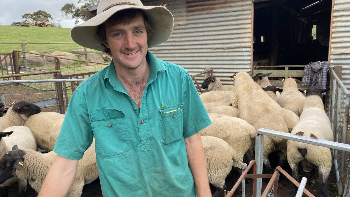 Adelaide Hills young farmer Alan Lintern started his own Suffolk stud in 2016.